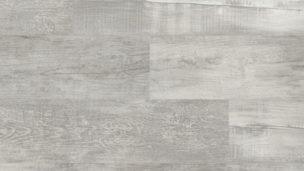 KWG Klick Vinyl - Antigua Infinity Hydrotec Silberpinie (520125)