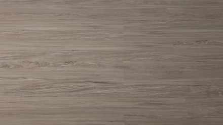 KWG Klick Vinyl Multilayer - Antigua Infinity Sibirische Ulme (900303)