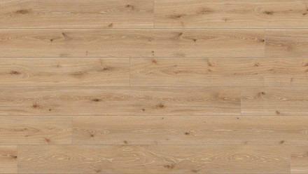 Parador Laminat - Trendtime 6 - Eiche Castell gekälkt Landhausdiele 1-Stab Gebürstete Struktur (1371173)