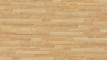 Parador Laminat - Basic 200 - Ahorn natur - Holzstruktur - 3-Stab Schiffsboden (1426411)