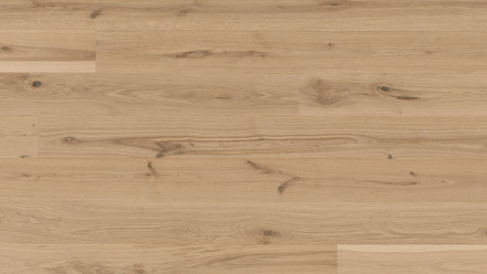 Parador Parkett Basic 11-5 Eiche gebürstet naturgeölt weiß Micro 4V-Fase (1518261)