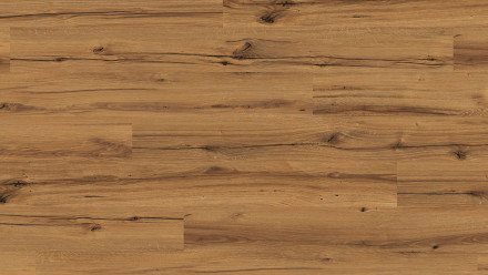 Parador Laminat - Basic 400 Eiche History (1593814)