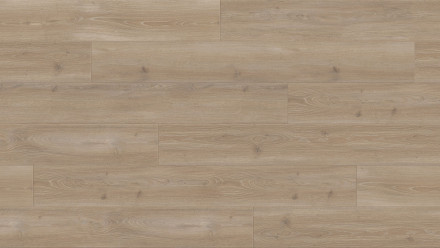 Parador Laminat - Trendtime 6 4V Eiche Skyline perlgrau gefast (1601103)