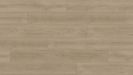 Parador Laminat - Trendtime 6 4V Eiche Loft Grau gefast (1730467)