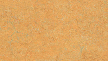 planeo Linoleum Real - golden saffron 3847 2.5