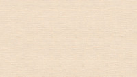 Vinyltapete creme Modern Uni Styleguide Trend Colours 2021 896
