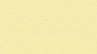 Vinyltapete gelb Klassisch Uni Styleguide Trend Colours 2021 214