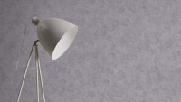 Vinyltapete grau Modern Uni Neue Bude 2.0 Edition 2 462