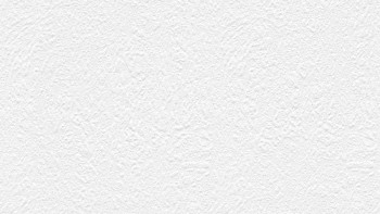 Papiertapete Struktura 2 Uni Klassisch Weiß 218