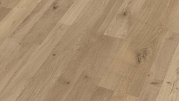 planeo Laminat - WaldIdylle (LAM-1818)