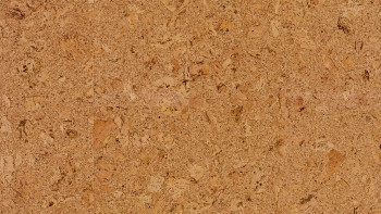 Wicanders Korkboden zum Klicken - Go4Cork Captivation (80001219)