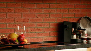 planeo StoneWall Solid Klinkerriemchen TON - Classic Brick