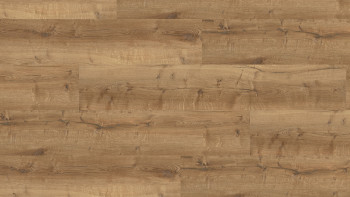 Wineo Klick Vinyl Multilayer - 400 wood XL Comfort Oak Mellow | Trittschalldämmung integr. (MLD129WXL)