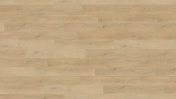 Wineo Klick Vinyl Multilayer - 400 wood L Plain Oak Beige | Trittschalldämmung integr. (MLD281WL)