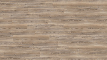 Wineo Klick Vinyl Multilayer - 400 wood L Coast Pine Taupe | Trittschalldämmung integr. (MLD284WL)