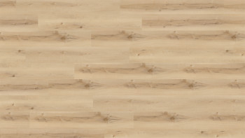 Wineo Klebevinyl - 400 wood XL Nordic Maple Cream | Synchronprägung (DB289WXL)