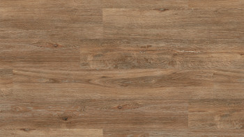 Project Floors Bioboden - ECO+ Collection ECO 3610/30 (ECO361030)