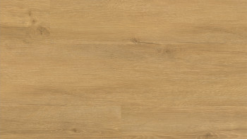 planeo Klick Vinyl - Rigid Goldeiche (HSW-1103)