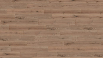 Wineo Bioboden - 1000 wood L Strong Oak Cinnamon zum Kleben (PL301R)