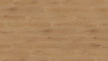 Wineo Bioboden - 1000 wood XL Noble Oak Toffee Klebevinyl (PL311R)