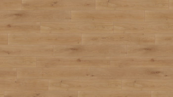 Wineo Bioboden - 1000 wood XL Noble Oak Toffee Multi Layer zum Klicken (MLP311R)