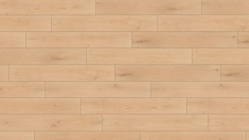 Wineo Bioboden - 1000 wood XL Noble Oak Vanilla Klebevinyl (PL310R)