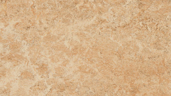 Forbo Linoleum Marmoleum Real - shell 3075 2.0