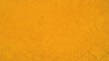 planeo Linoleum Fresco - golden sunset 3125 2.0