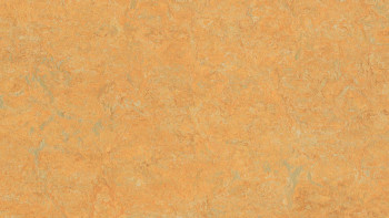 planeo Linoleum Real - golden saffron 3847 2.0