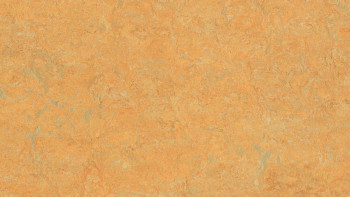 Forbo Linoleum Marmoleum Real - golden saffron 3847-2.5 - 2.5mm