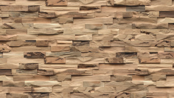 planeo WoodWall - Coastalwood Hevea Natur