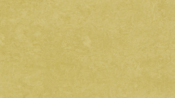Forbo Linoleum Marmoleum Fresco - mustard 3259-2.5