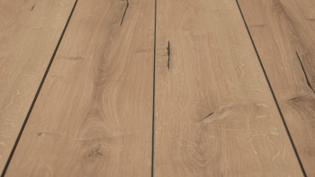 planeo TitanBoard HPL-Terrassendiele Eiche Natur