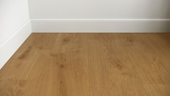 planeo Klebevinyl - Objekt Woodline Eiche Classic | Synchronprägung (PLDD2570-ECL)