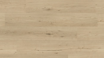 planeo Rigid Klick Vinyl - FlexCore 30 Misty Oak | Trittschalldämmung integr. (plfc-5023FS30)
