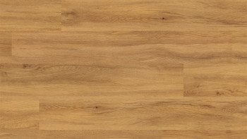 planeo Rigid Klick Vinyl - FlexCore 30 Pure Oak | Trittschalldämmung integr. (plfc-5122FS30)