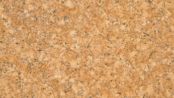 Gerflor CV-Belag - PRIMETEX CORK NATUREL - 0027