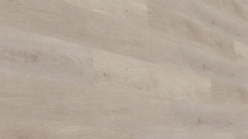 planeo DekoWall - Wandvinyl Wide Balanced Oak Lightgrey | Synchronprägung (DB286WL-WV)