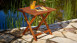 Gartentisch Akazienholz 70 x 70 x 73 cm klappbar