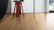 Haro Laminat Tritty 100 Silent CT Eiche Portland natur 4V Landhausdiele (533134)