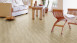 Gerflor Vinylboden - Senso Rustic Designboden Muscade selbstklebend (33270306)