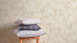 Vinyltapete beige Modern Klassisch Uni Streifen Trendwall 861