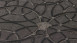 Vinyltapete grau Vintage Ornamente Bilder Versace 4 494