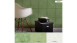 Vinyltapete grün Modern Blumen & Natur Bilder Sumatra 721