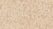 Vinyltapete braun Modern Uni Neue Bude 2.0 Edition 2 898