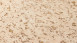 Vinyltapete braun Modern Uni Neue Bude 2.0 Edition 2 898
