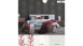 Vinyltapete schwarz Modern Retro Blumen & Natur Bilder Asian Fusion 693