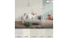 Vinyltapete grau Modern Retro Ornamente Streifen Pop Style 804