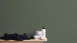 Vinyltapete grün Modern Retro Uni Geo Nordic 364