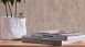 Vinyltapete Strukturtapete braun Modern Klassisch Uni Industrial 461